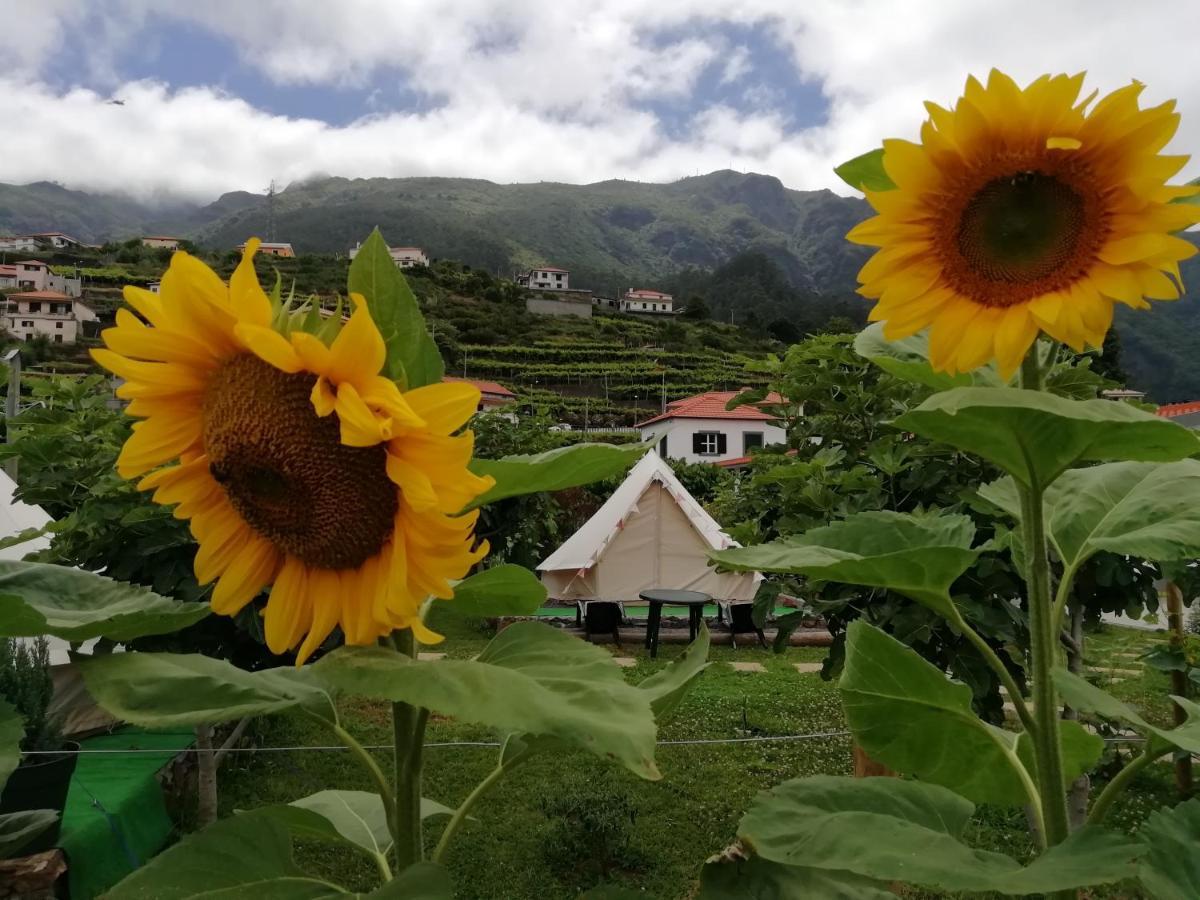 São Vicente Granny'S Farmゲストハウス エクステリア 写真
