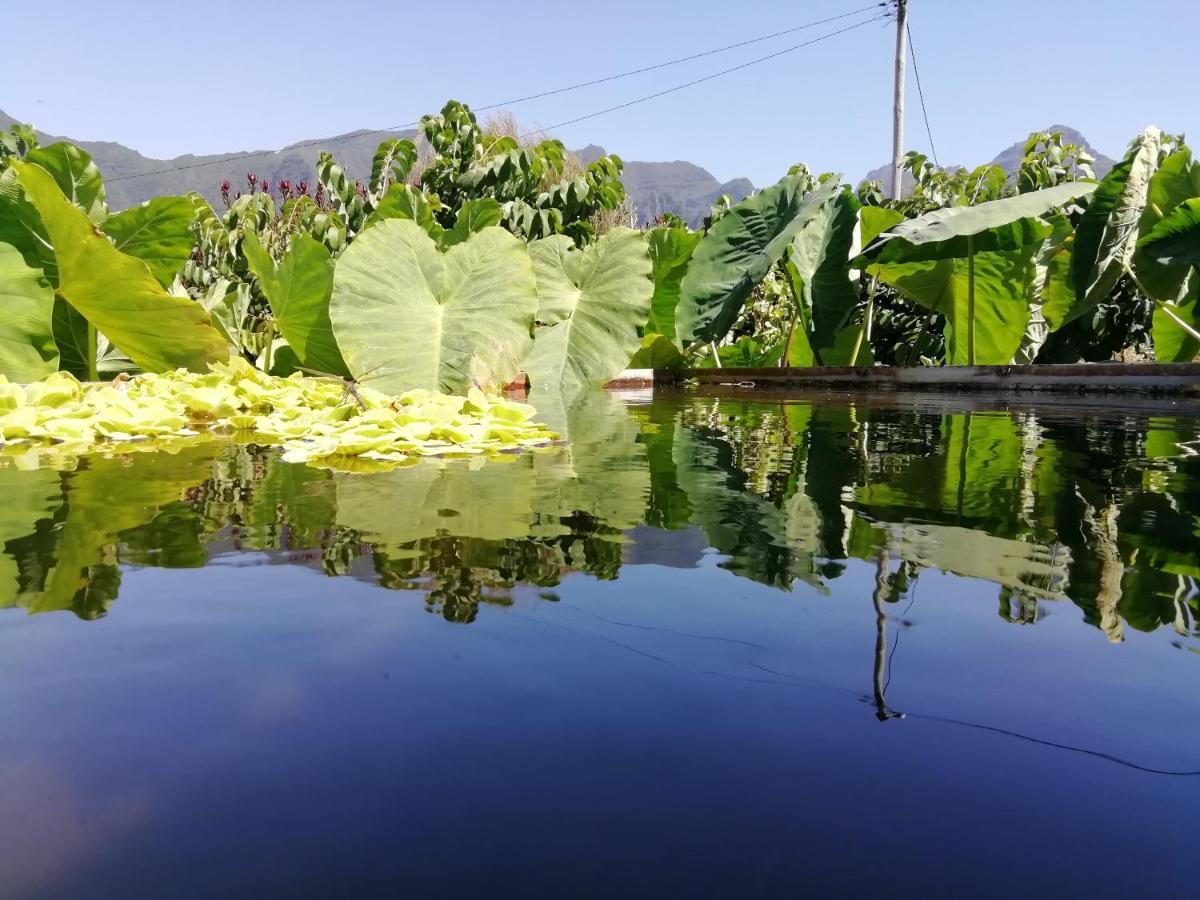 São Vicente Granny'S Farmゲストハウス エクステリア 写真