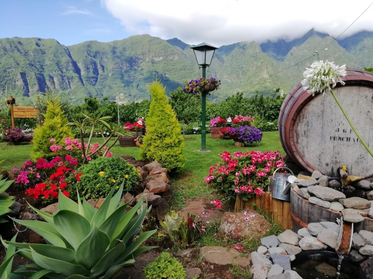 São Vicente Granny'S Farmゲストハウス エクステリア 写真
