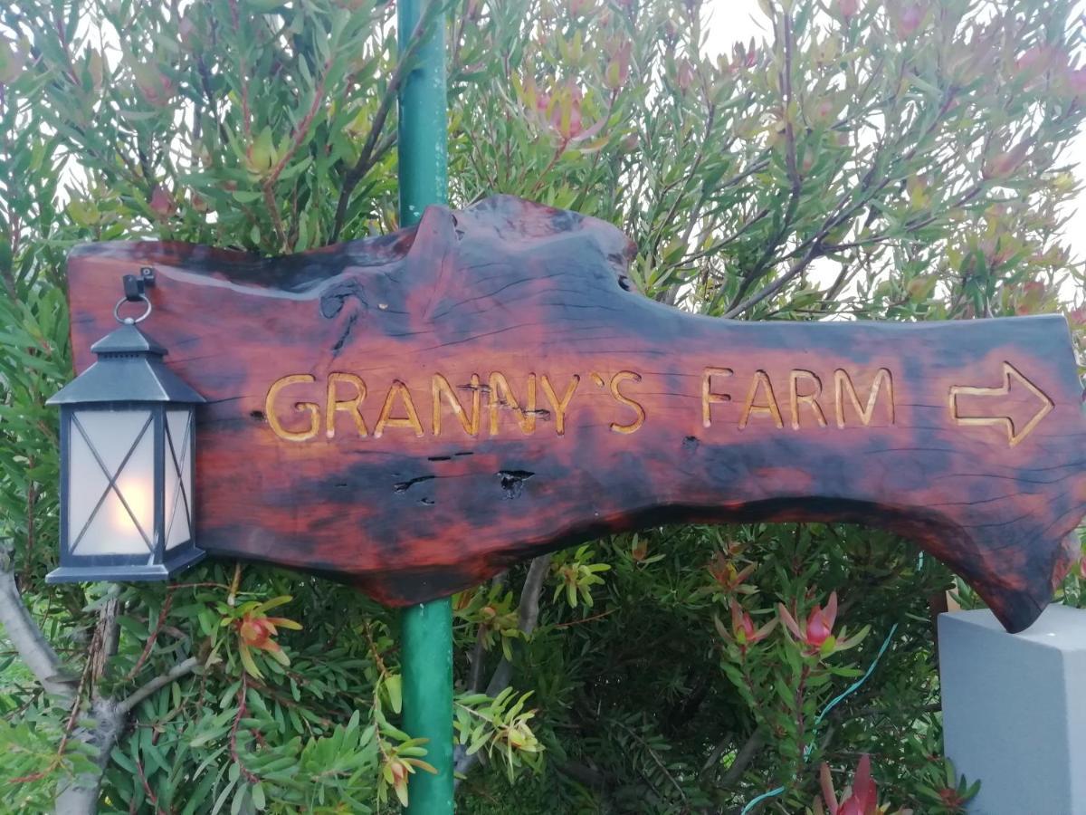 São Vicente Granny'S Farmゲストハウス エクステリア 写真