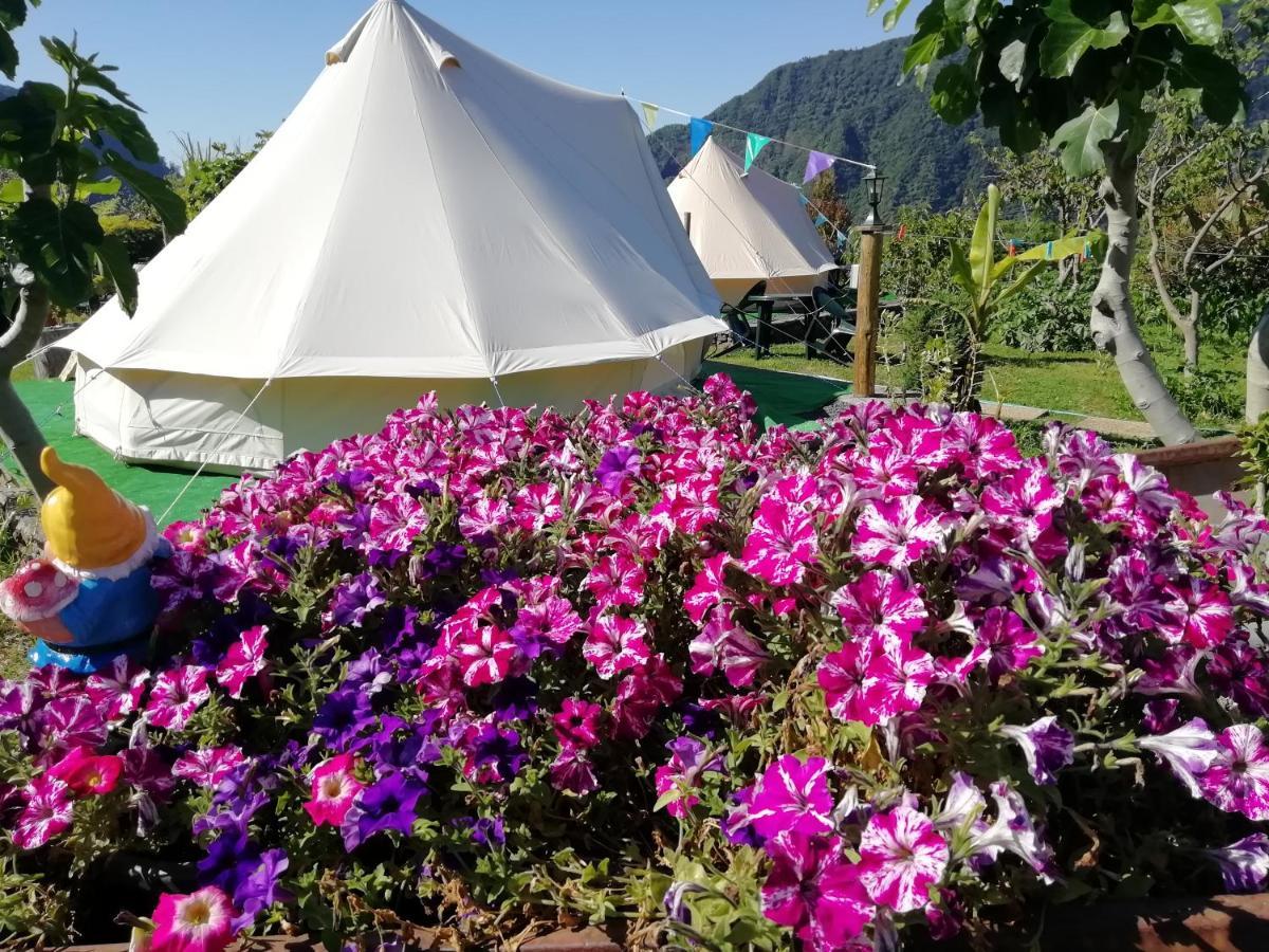 São Vicente Granny'S Farmゲストハウス エクステリア 写真