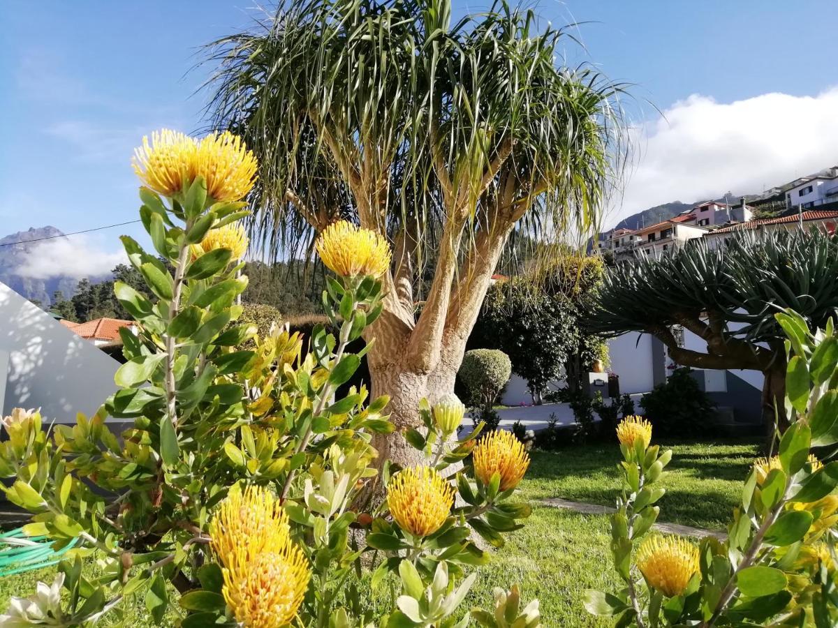 São Vicente Granny'S Farmゲストハウス エクステリア 写真