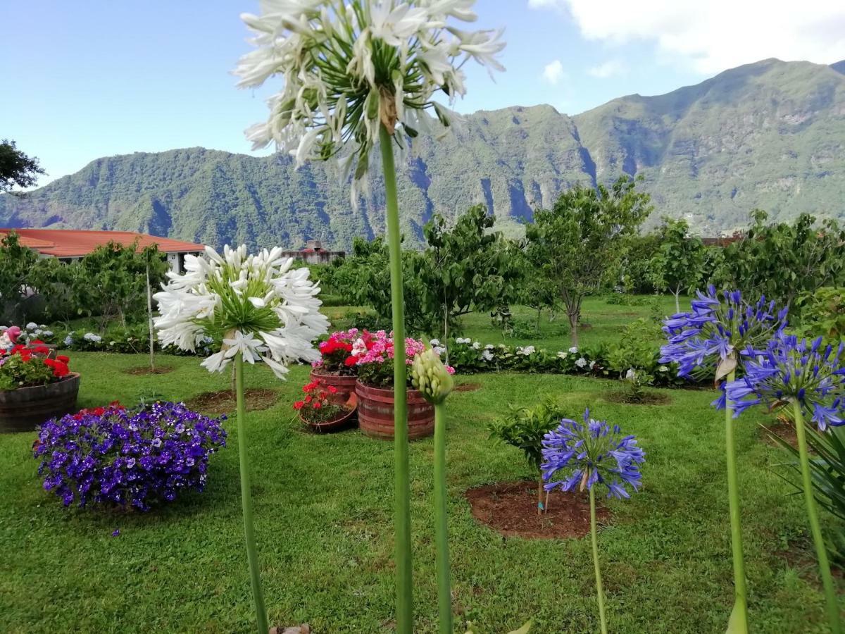 São Vicente Granny'S Farmゲストハウス エクステリア 写真
