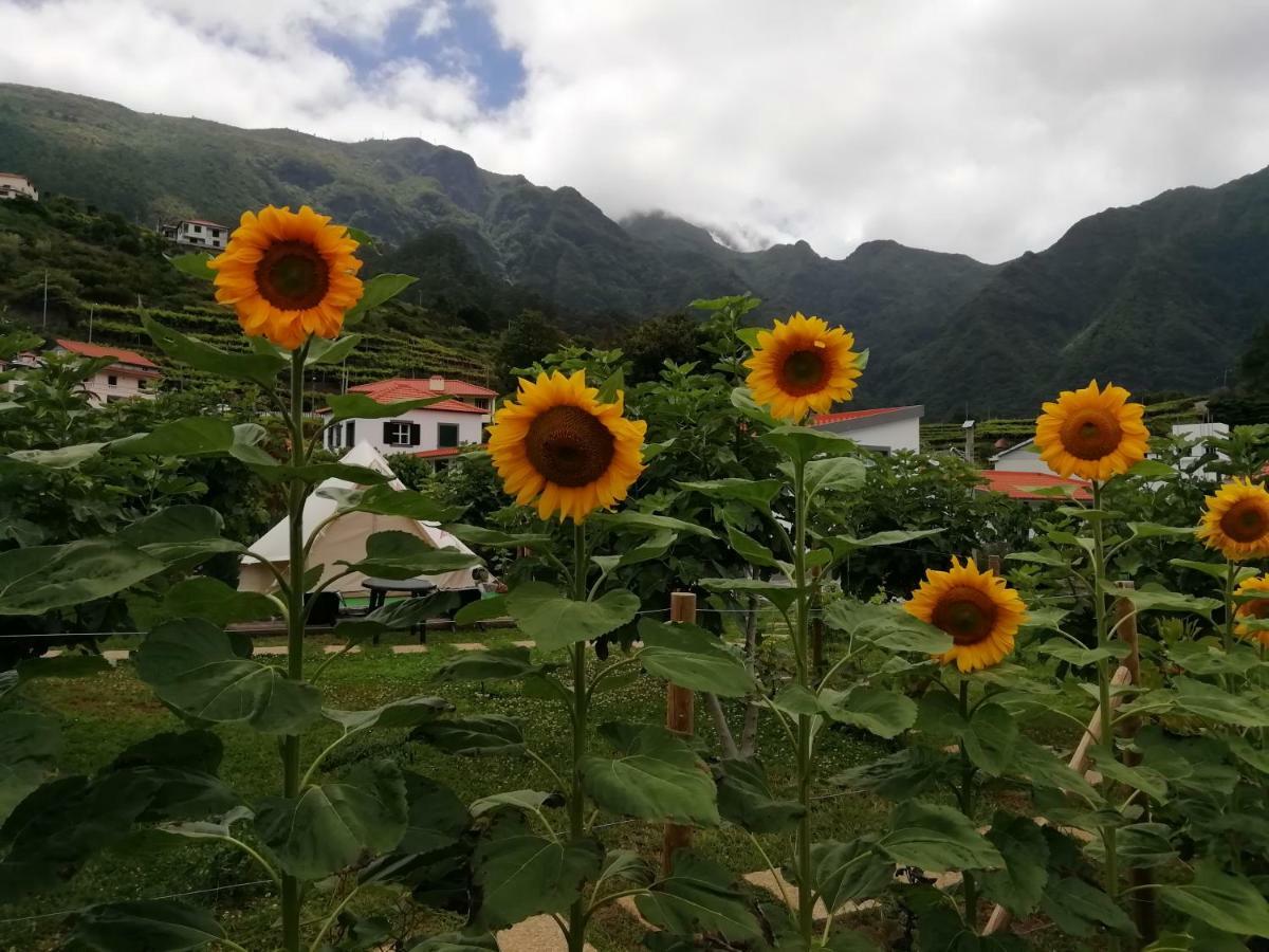 São Vicente Granny'S Farmゲストハウス エクステリア 写真