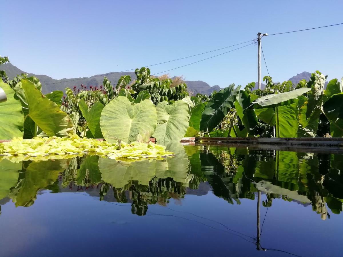 São Vicente Granny'S Farmゲストハウス エクステリア 写真