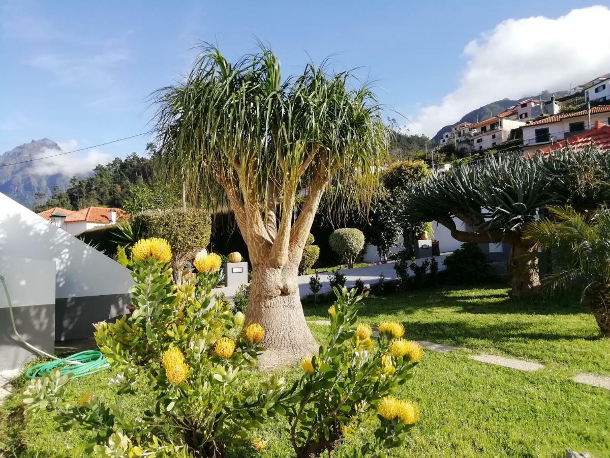 São Vicente Granny'S Farmゲストハウス エクステリア 写真