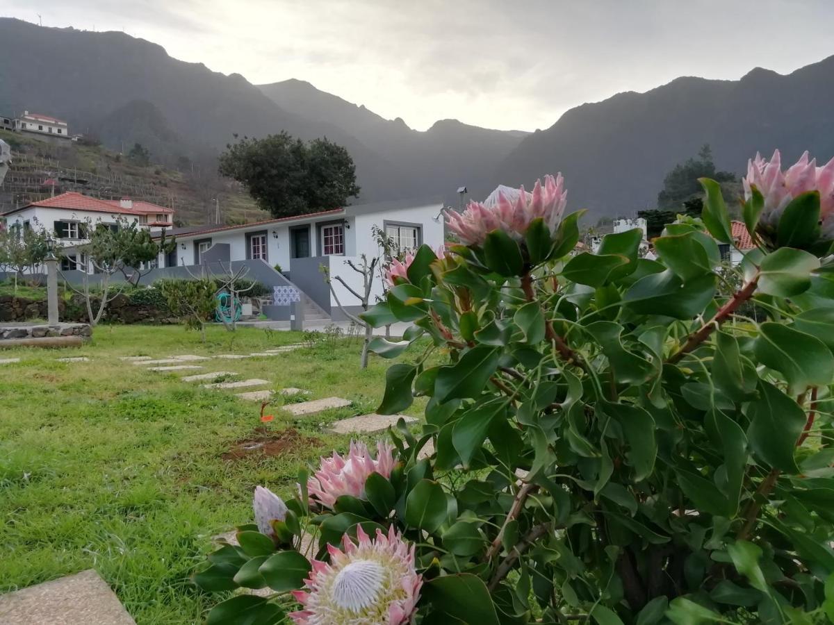 São Vicente Granny'S Farmゲストハウス エクステリア 写真